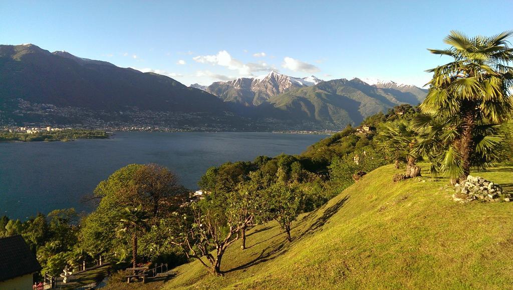 Corte Delle Camelie Gambarogno Exteriör bild